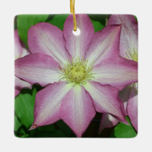 Trio van Clematis Pink en White Spring Vine Keramisch Ornament