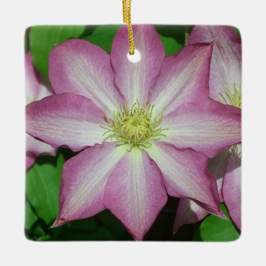 Trio van Clematis Pink en White Spring Vine Keramisch Ornament (Voorkant)