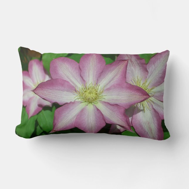 Trio van Clematis Pink en White Spring Vine Kussen (Voorkant)