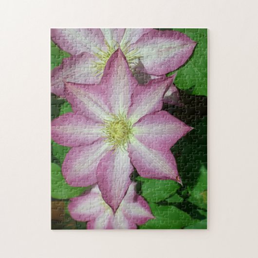 Trio van Clematis Pink en White Spring Vine Legpuzzel (Verticaal)