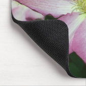 Trio van Clematis Pink en White Spring Vine Muismat (Hoek)
