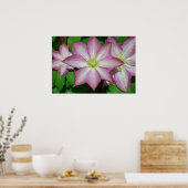 Trio van Clematis Pink en White Spring Vine Poster (Keuken)