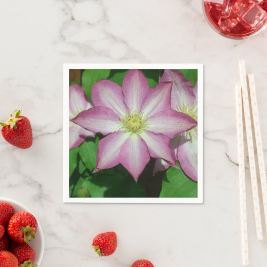 Trio van Clematis Pink en White Spring Vine Servet (Insitu)