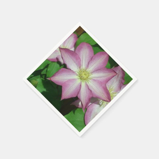 Trio van Clematis Pink en White Spring Vine Servet (Hoek)
