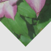 Trio van Clematis Pink en White Spring Vine Tissuepapier (Detail)