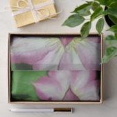 Trio van Clematis Pink en White Spring Vine Tissuepapier (Geschenk)