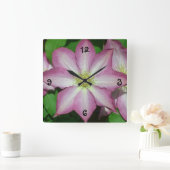 Trio van Clematis Pink en White Spring Vine Vierkante Klok (Huis)