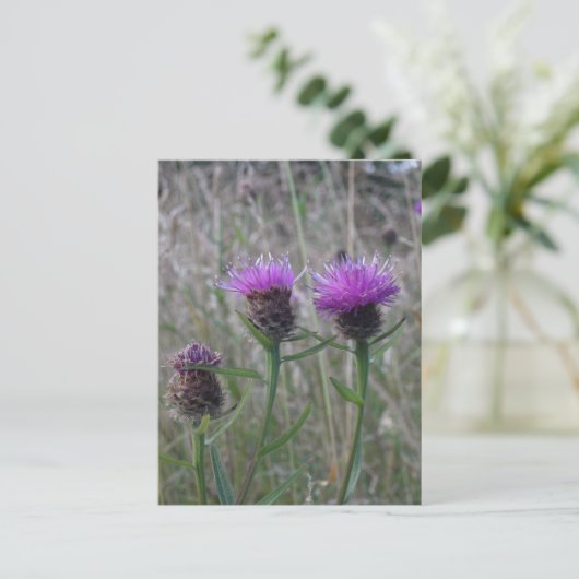 Trio van de paarse dichters briefkaart (Staand voorkant)