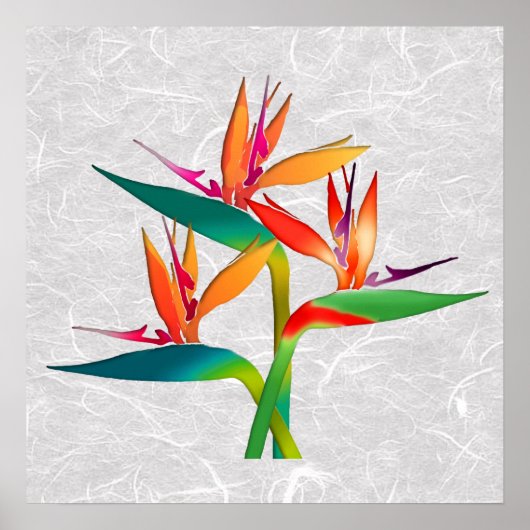 Trio van de vogels in het Paradijs Poster (Voorkant)