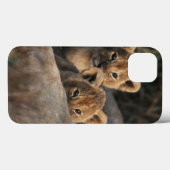 Trio van de zes weken oude Lion Cubs, zittend Case-Mate iPhone Case (Achterkant (horizontaal))