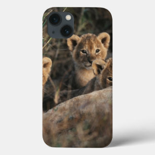 Trio van de zes weken oude Lion Cubs, zittend Case-Mate iPhone Case