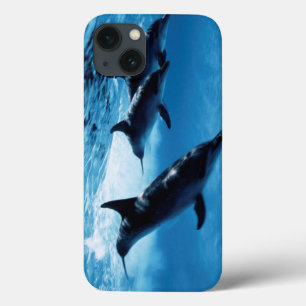 Trio van dolfijnen Case-Mate iPhone case