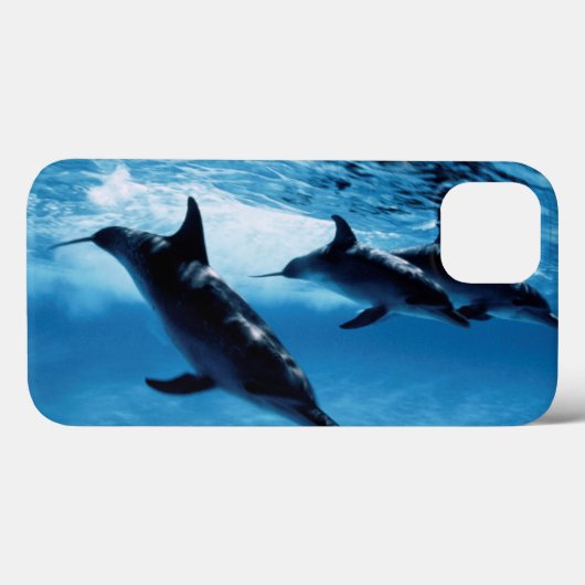 Trio van dolfijnen Case-Mate iPhone case (Achterkant (horizontaal))