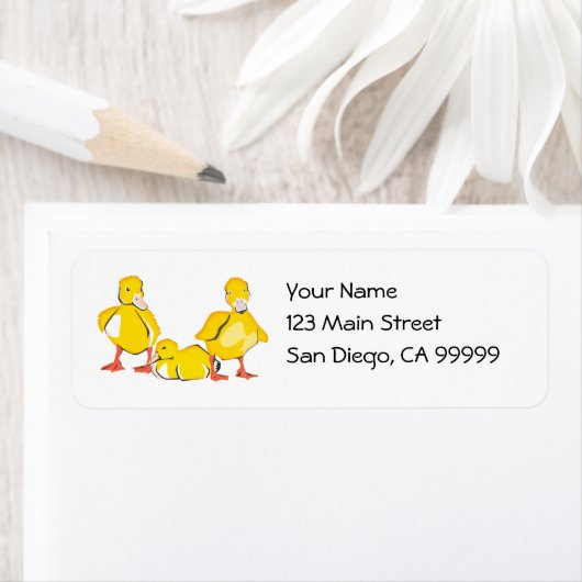 Trio van Ducklings Etiket (Insitu)
