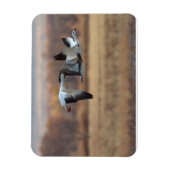 Trio van ganzen magneet (Verticaal)