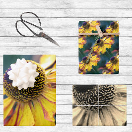 Trio van Goud en Paarse Helenium bloemen Inpakpapier Vel