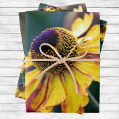 Trio van Goud en Paarse Helenium bloemen Inpakpapier Vel