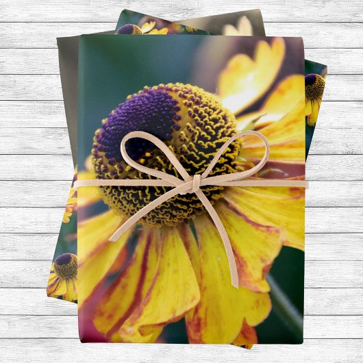 Trio van Goud en Paarse Helenium bloemen Inpakpapier Vel