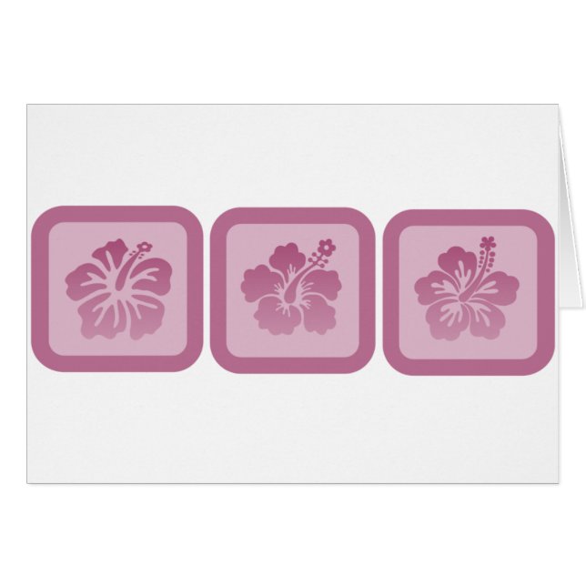 Trio van Hibiscus (Voorkant Horizontaal)