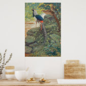 Trio van Lady Amherst's fazant door waterval Poster (Keuken)