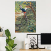 Trio van Lady Amherst's fazant door waterval Poster (Thuiskantoor)