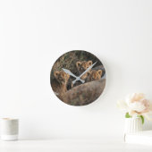 Trio van Lion Cubs met moeder Ronde Klok (Huis)