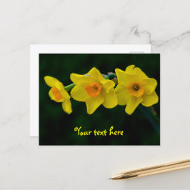 Trio van narcissen ansichtkaart briefkaart
