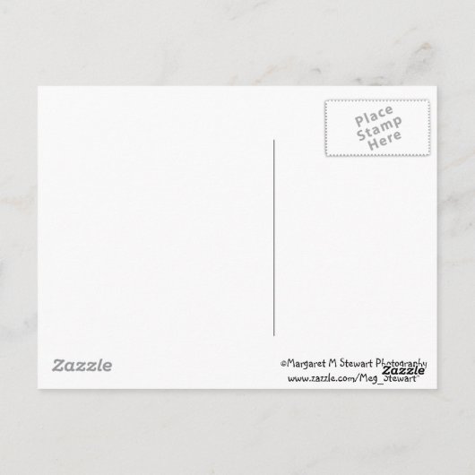 Trio van nieuwsgierige Baby Chipmunks Briefkaart (Achterkant)