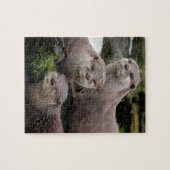Trio van Otters Legpuzzel (Horizontaal)