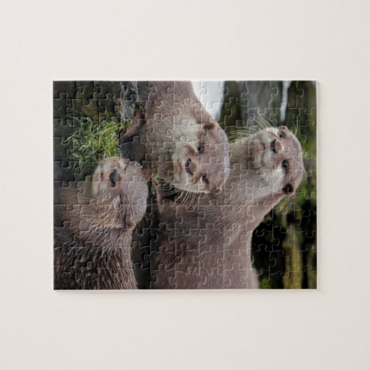 Trio van Otters Legpuzzel (Horizontaal)