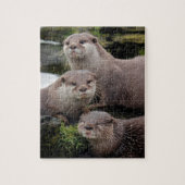 Trio van Otters Legpuzzel (Verticaal)