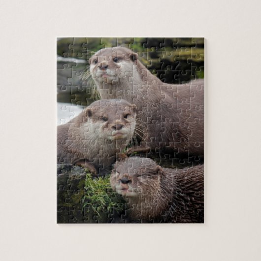 Trio van Otters Legpuzzel (Verticaal)