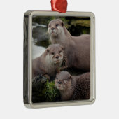 Trio van Otters Metalen Ornament (Rechts)