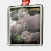 Trio van Otters Metalen Ornament (Links)