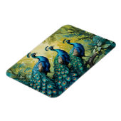 Trio van pauwen in het oerwoud bos magneet (Linkerzijde)