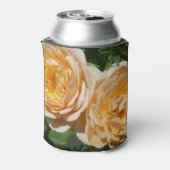 Trio van perzikenvlies blikjeskoeler (Blikje Achterkant)