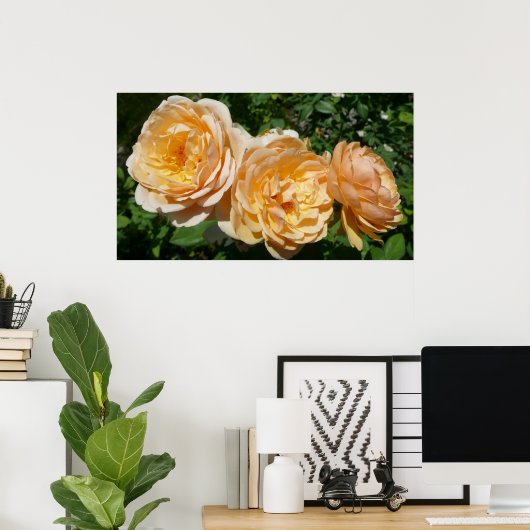 Trio van perzikenvlies poster (Thuiskantoor)