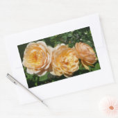 Trio van perzikenvlies rechthoekige sticker (Envelop)