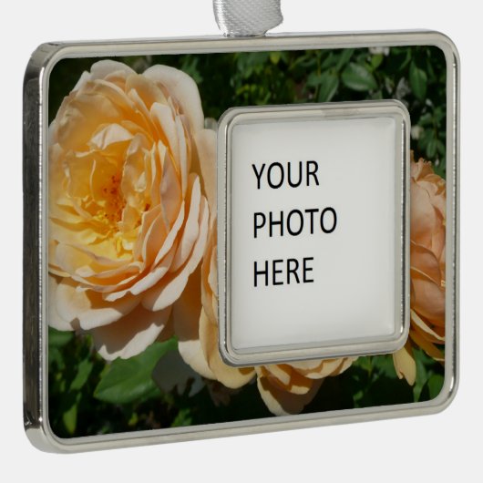 Trio van perzikenvlies verzilverd omlijst ornament (Rechts)