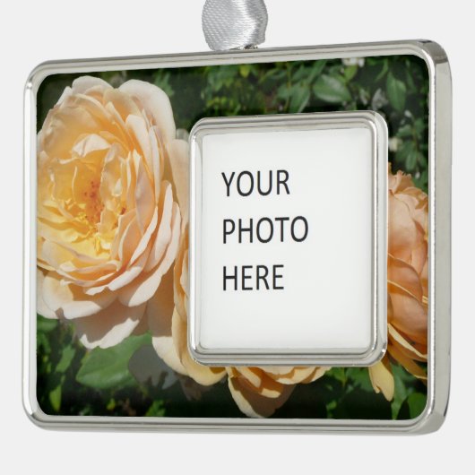 Trio van perzikenvlies verzilverd omlijst ornament (Links)