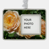 Trio van perzikenvlies verzilverd omlijst ornament (Voorkant)