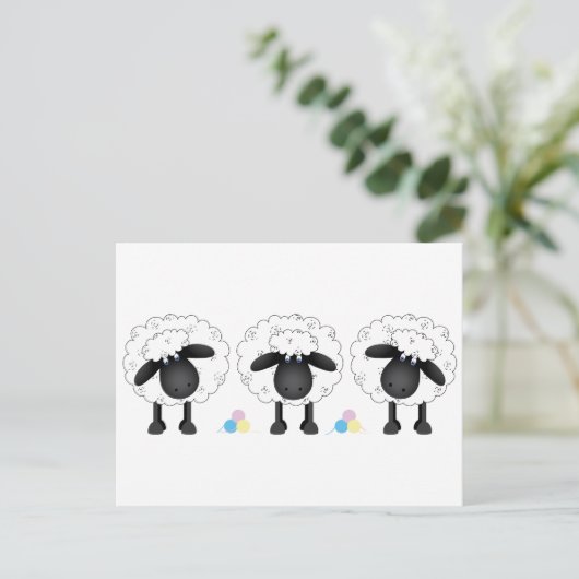 Trio van Schapen Briefkaart (Staand voorkant)
