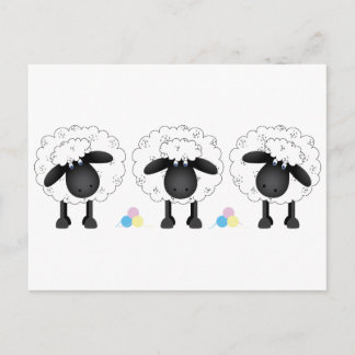 Trio van Schapen Briefkaart