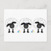 Trio van Schapen Briefkaart (Voorkant)