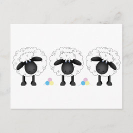 Trio van Schapen Briefkaart