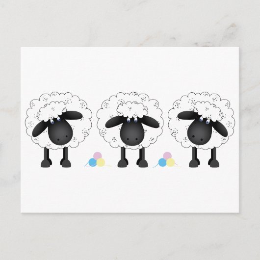 Trio van Schapen Briefkaart (Voorkant)