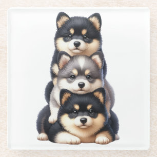 TRIO VAN SCHATTIGE SHIBA INU PUPPY DOGS GLAZEN ONDERZETTER