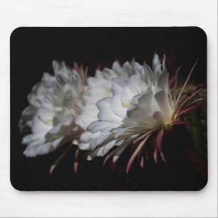 Trio van White Cactus bloemen Muismat