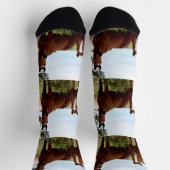 Trio van zoete paarden, Sokken van bemanning (Top)