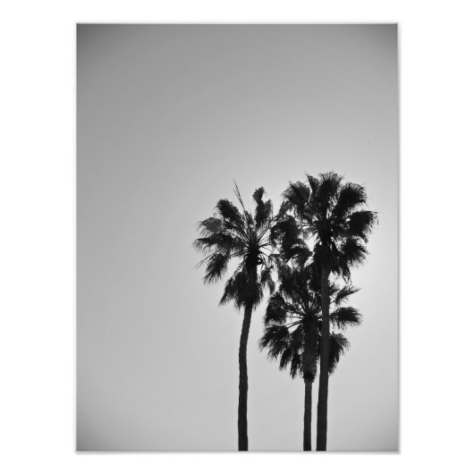 trioof foto afdruk (Voorkant)